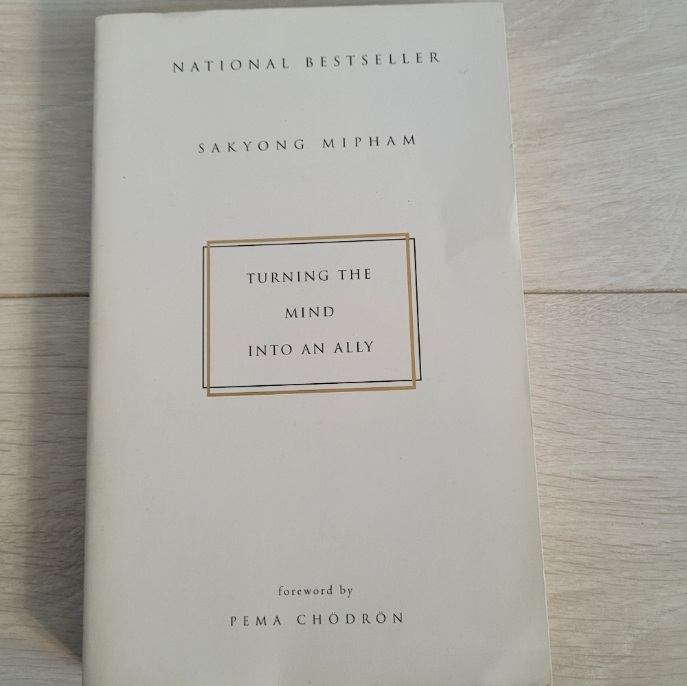 Turning the Mind Into an Ally Pema Chodron Paperback book